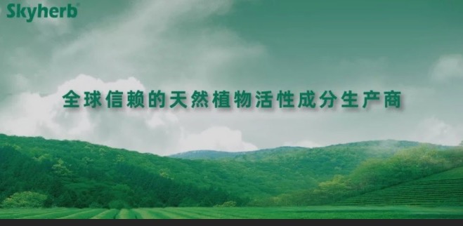多年不懈努力，終獲官方青睞！